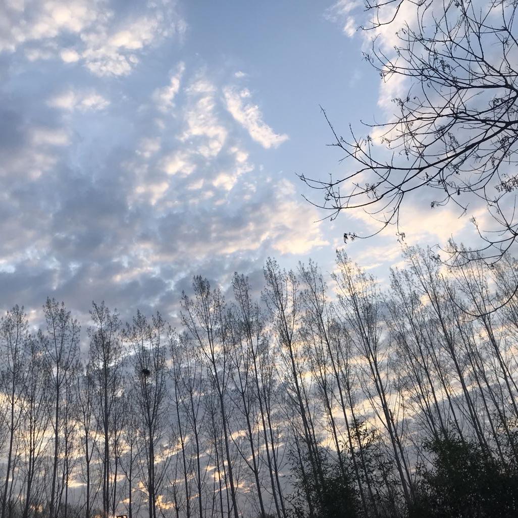 岸部眞明-奇迹の山Cover（下雨天旷课Brynn喝可乐 remix）