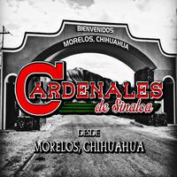 Los Cardenales - Comprendala (karaoke)