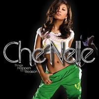 原版伴奏   I Fell In Love With The Dj - Che'nelle ( Karaoke Version )