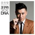 王子的DNA