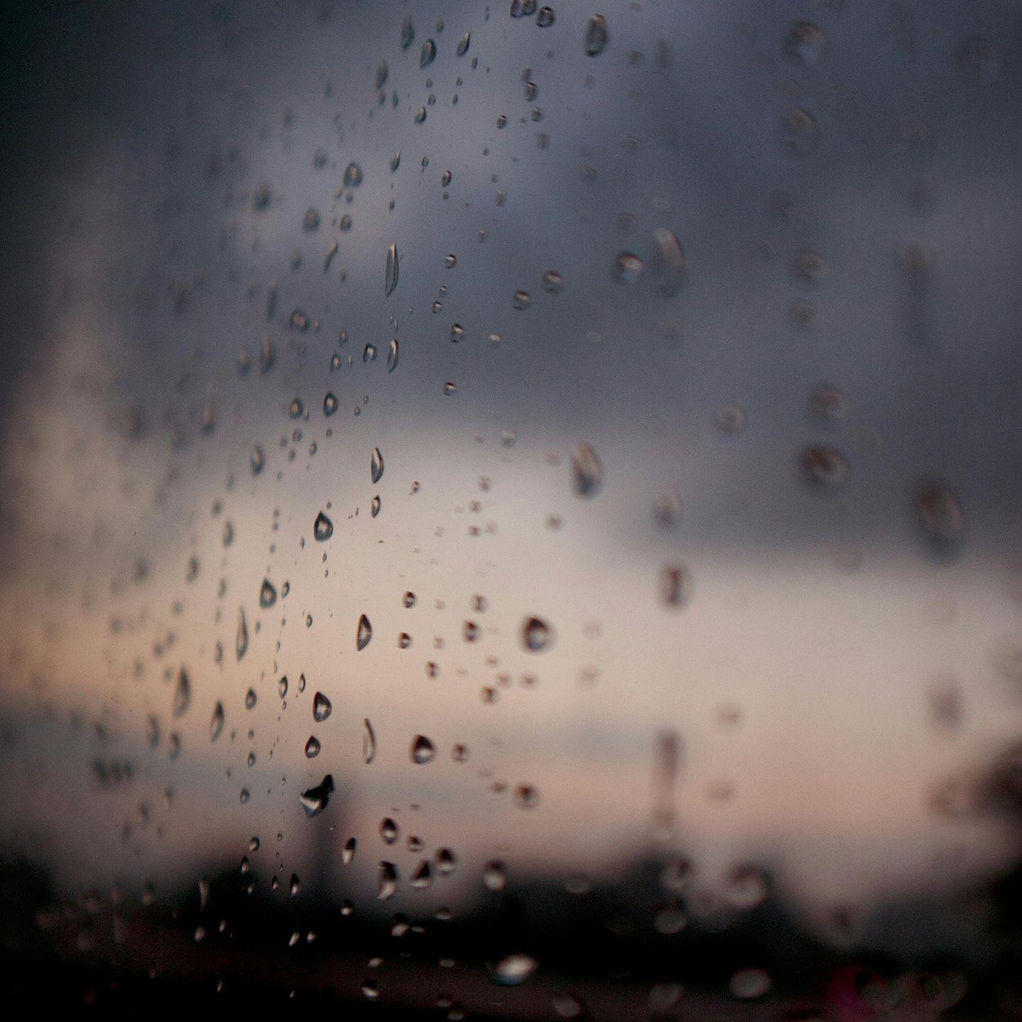 情愿 (《嫣语赋》影视剧片尾曲)