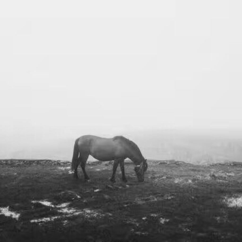 西北偏北把民谣喝醉 | 在线播放 | 网易云音乐