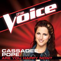 原版伴奏   Are You Happy Now - Cassadee Pope (karaoke) （有和声）