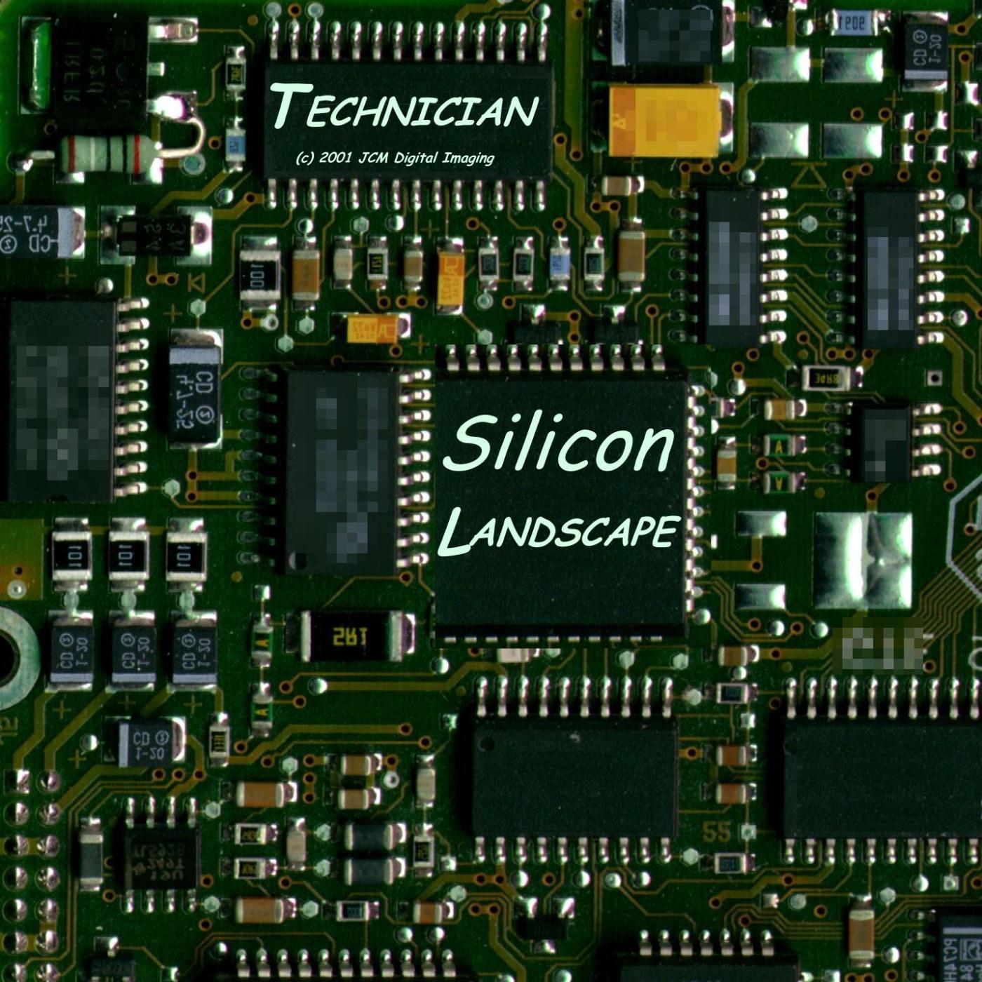 Silicon Landscape