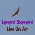 Lynyrd Skynyrd Live On Air (Live)