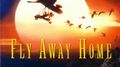 Fly Away Home专辑