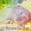 23 Welcome The Storm