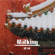 精灵king