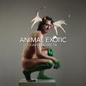 Animal Exòtic专辑