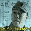 你还真是个skr小天才专辑