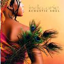 Acoustic Soul专辑