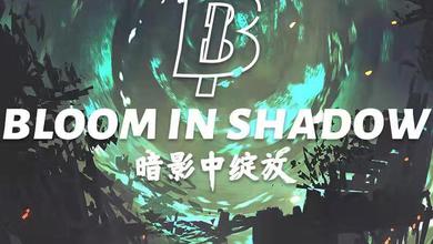 BloomInShadow-暗影中绽放