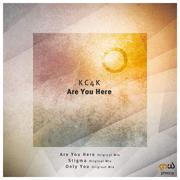 Are You Here