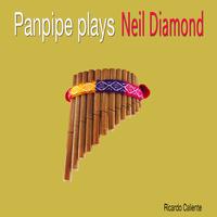 Neil Diamond - I\'m A Believer (hm) (karaoke)