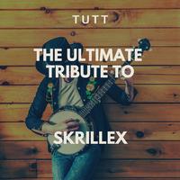 Skrillex - 03 - Breakn A Sweat - Original Mix
