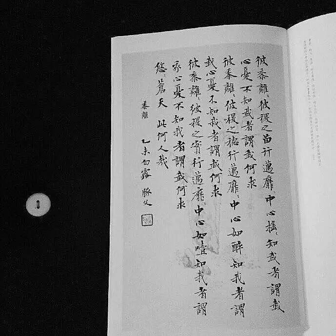 小z的今日份纯音乐