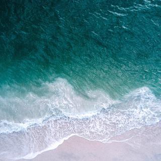 [Tropical House]来自热带雨林的清爽海风