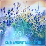 Calm Ambient Music 2018专辑