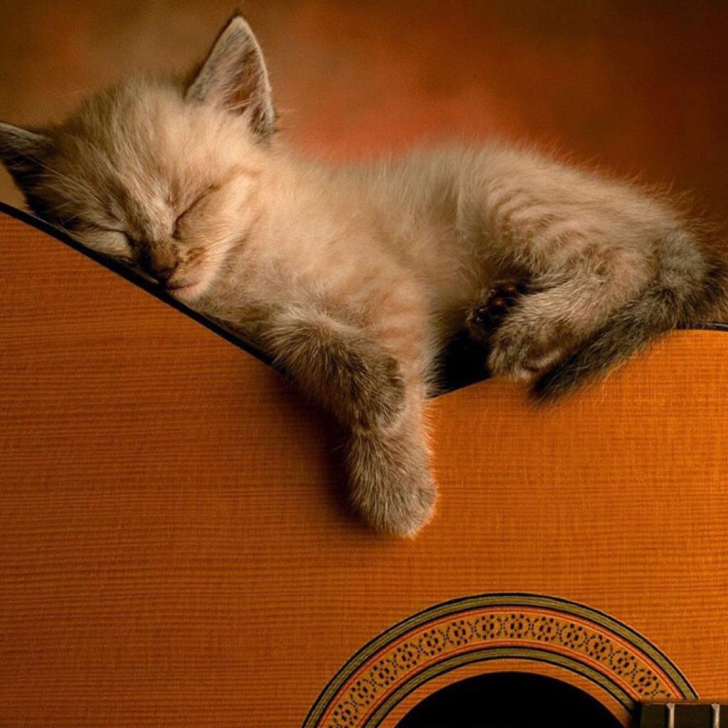 如果你开心难过悠闲寂寞，听一首女声民谣吧 | 在线播放 | 网易云音乐