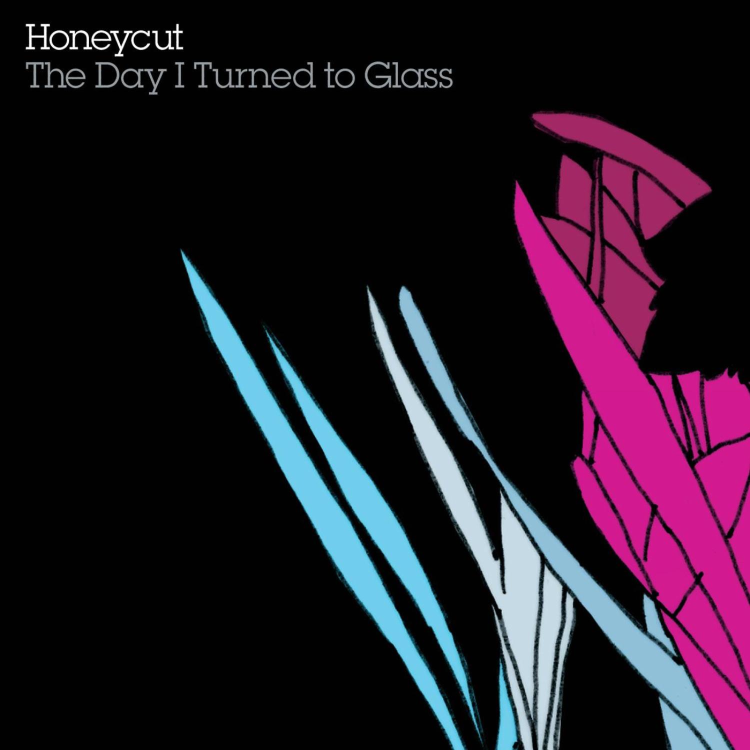 The Day I Turned To Glass