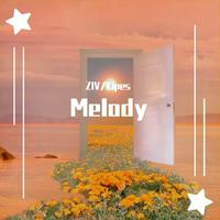 MELODY 新版女歌慢摇CLUB改版伴奏-110（带小声原唱）