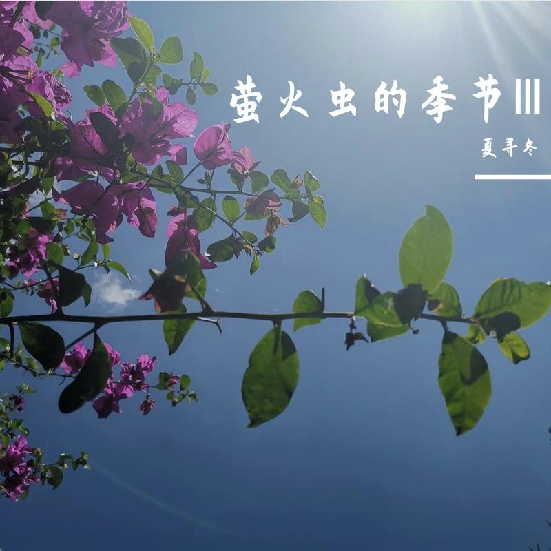 萤火虫的季节Ⅲ