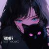 Tidiet - Not Allowed (Sped Up)