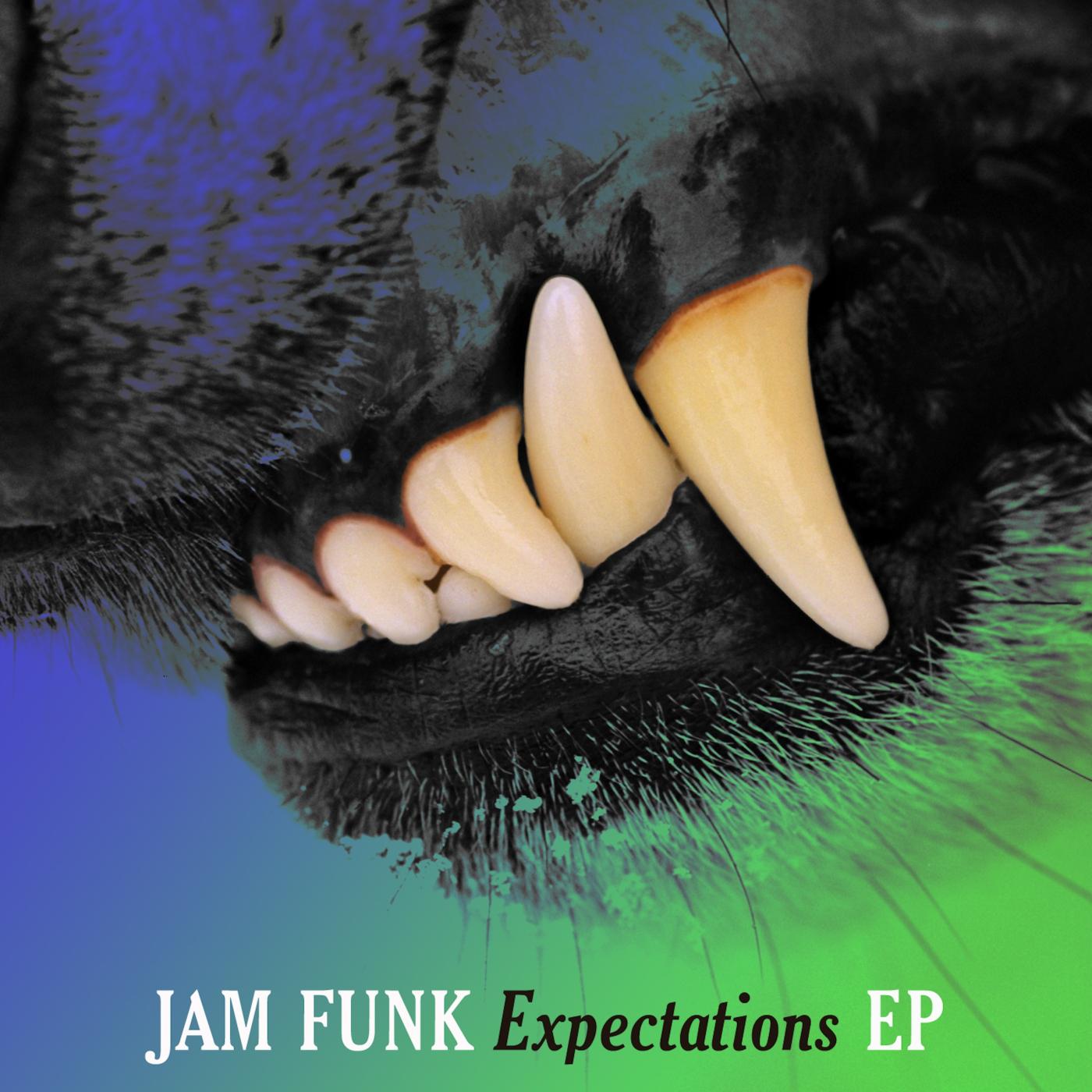 Jam Funk - Do What You Wanna Do
