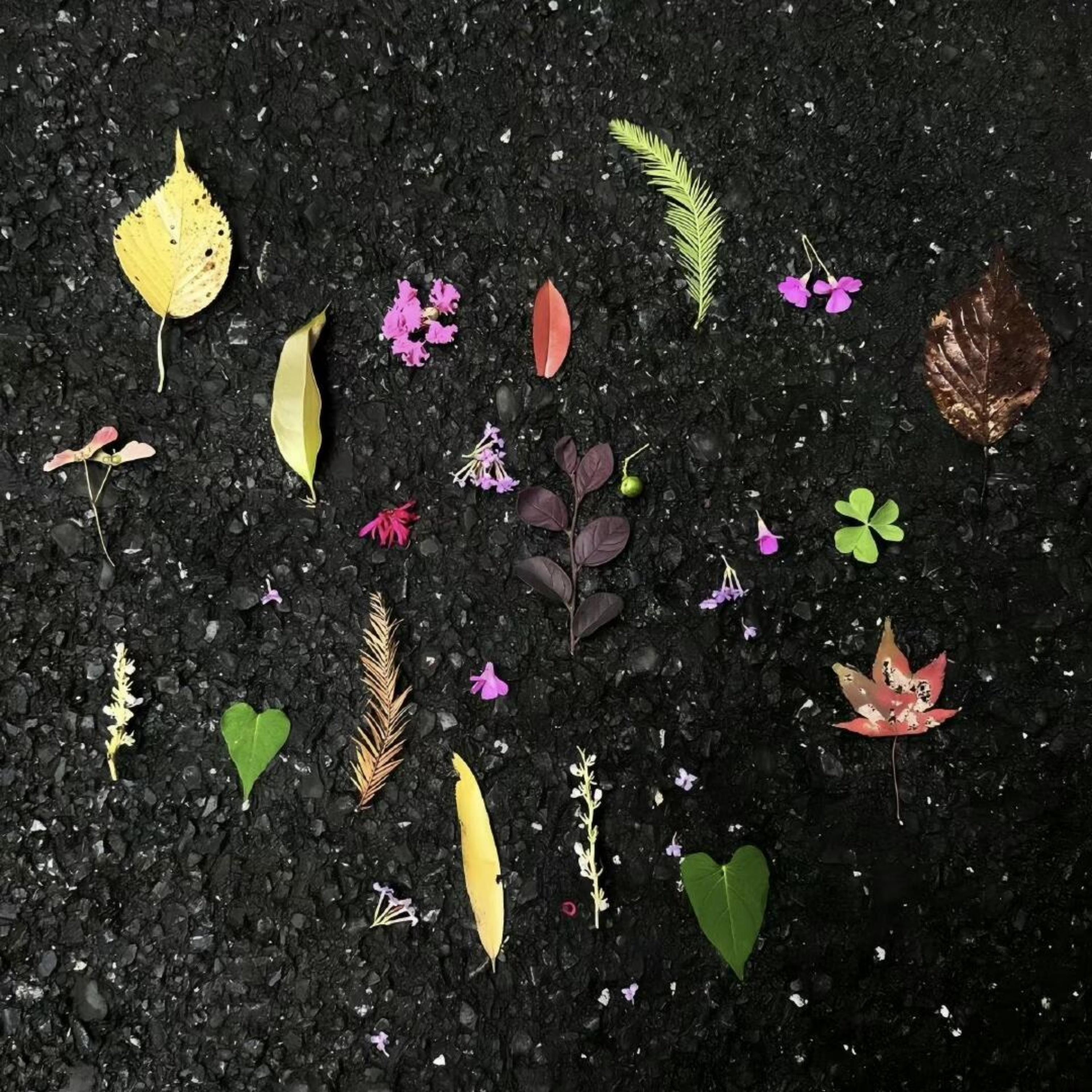 超模进行曲（适合走路的BGM）