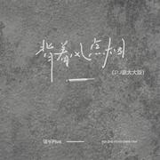 背着风点烟（DJ豪大大版）