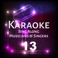 Karaoke Sing Along Musicians & Singers, Vol. 13