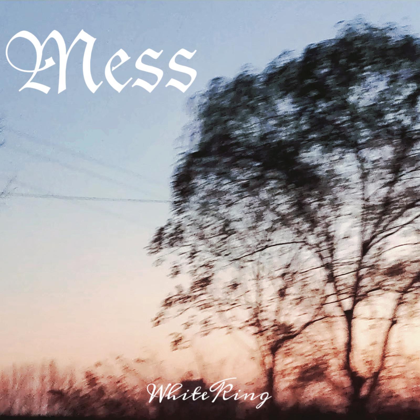 Mess