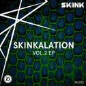 Skinkalation Vol.2专辑