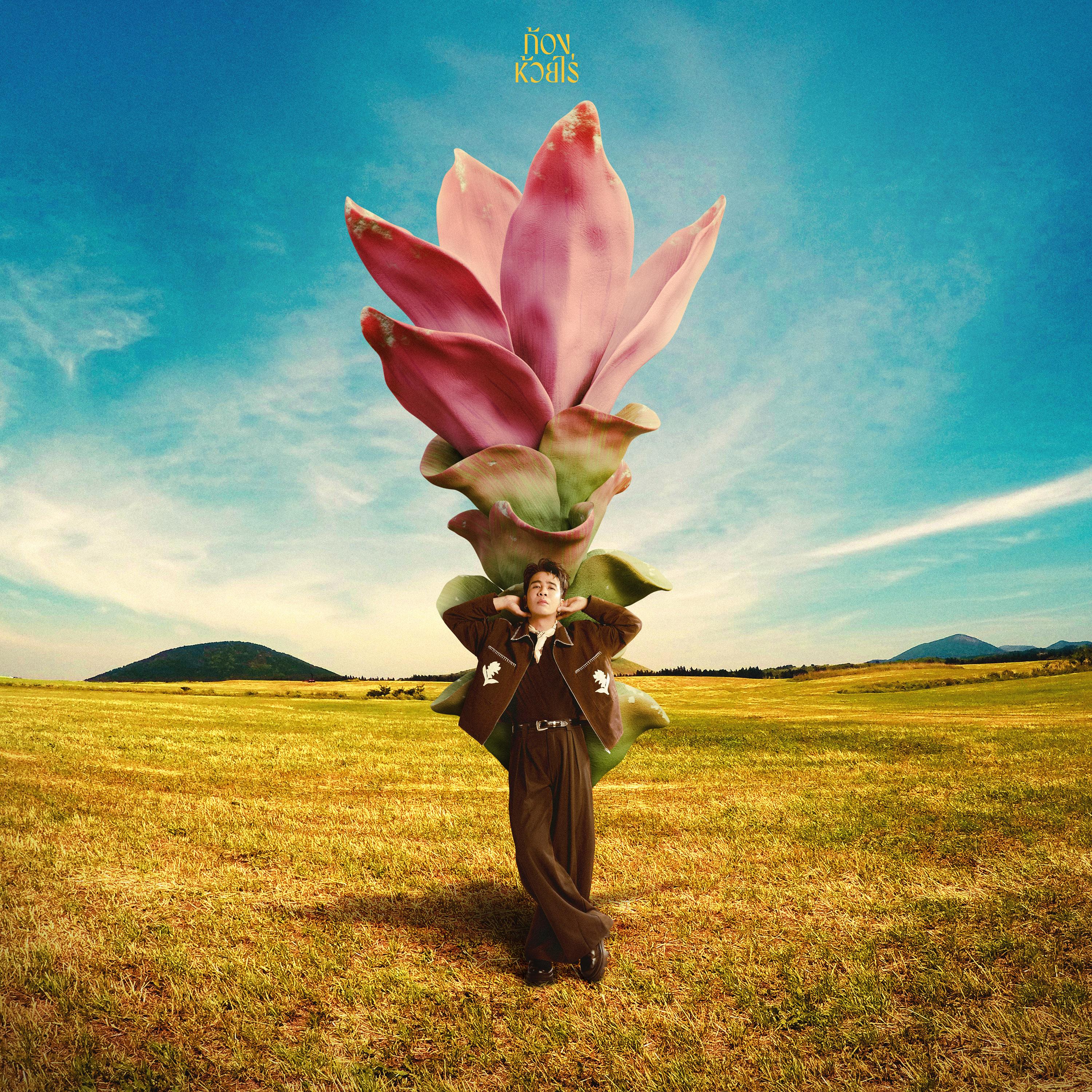 ดอกกระเจียวบาน