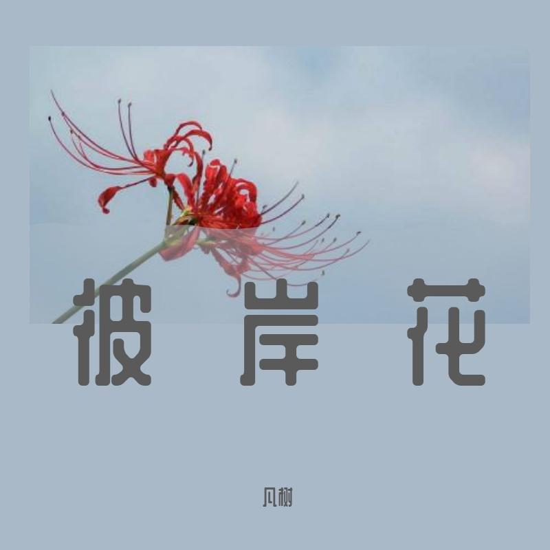 梦尘世的花