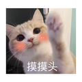 做我的猫