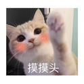 做我的猫专辑