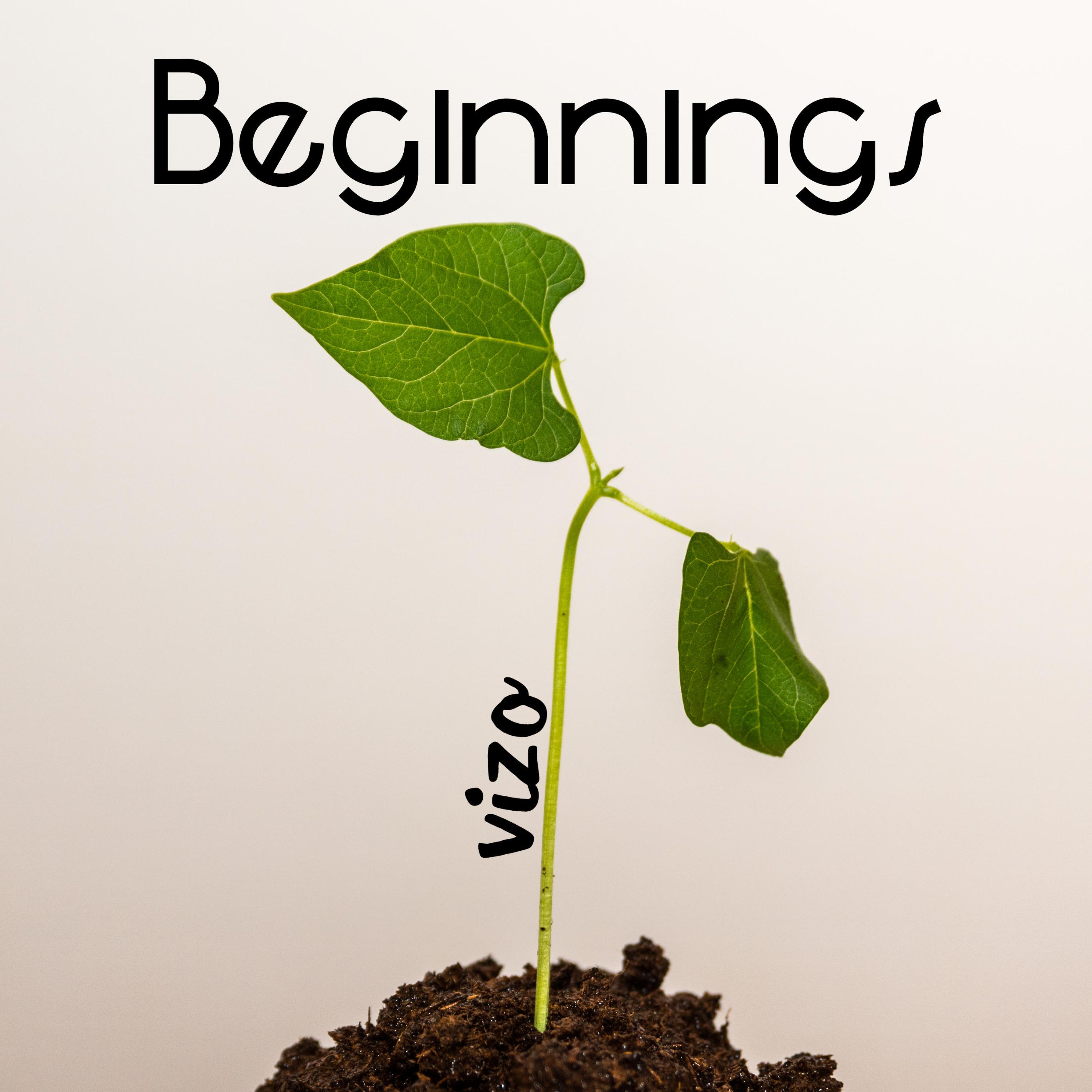 Beginnings