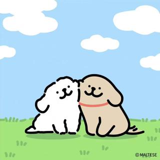奇妙反应♥爱与被爱同时发生