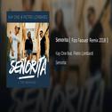 Senorita ( Fizo Faouez Mombahton Remix 2018)专辑