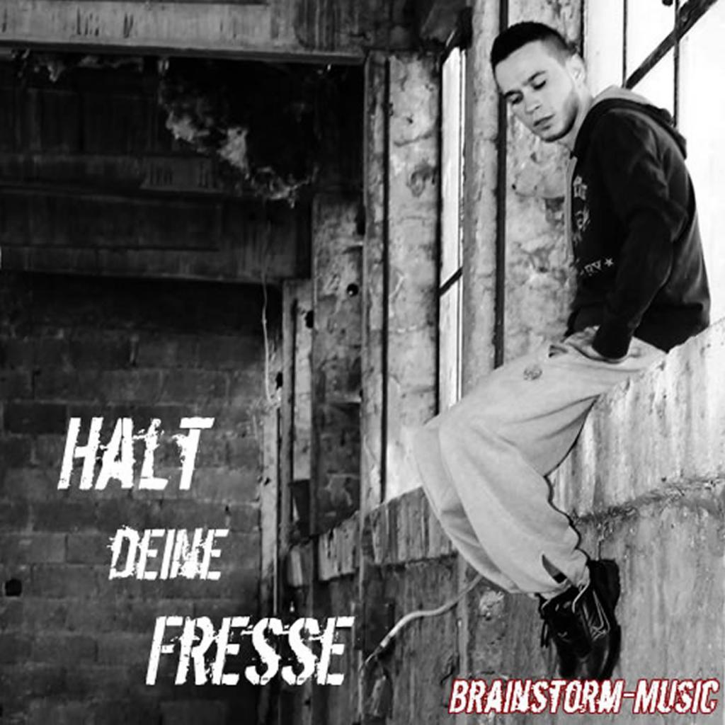 Halt deine Fresse专辑