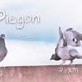 Piegon