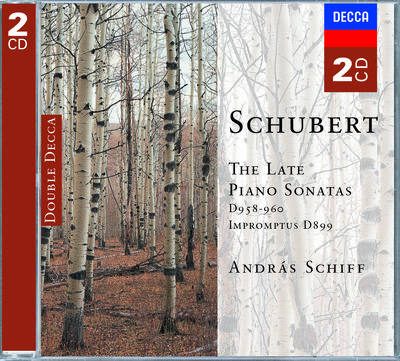 Schubert: The Late Piano Sonatas专辑