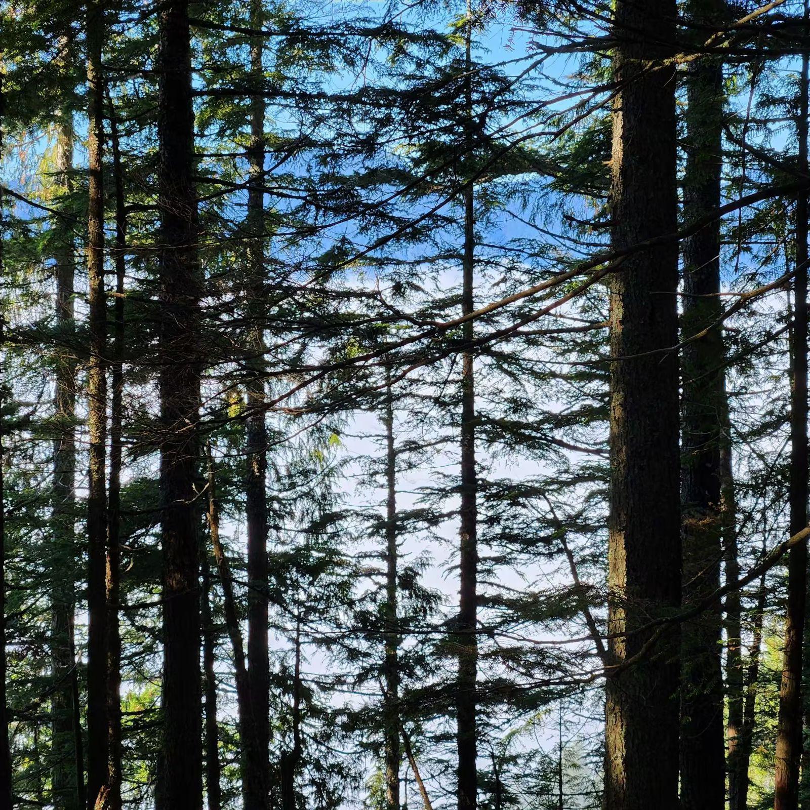 Lost（speed up）