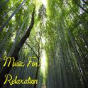 Music For Relaxation专辑