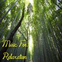 Music For Relaxation专辑