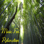 Music For Relaxation专辑