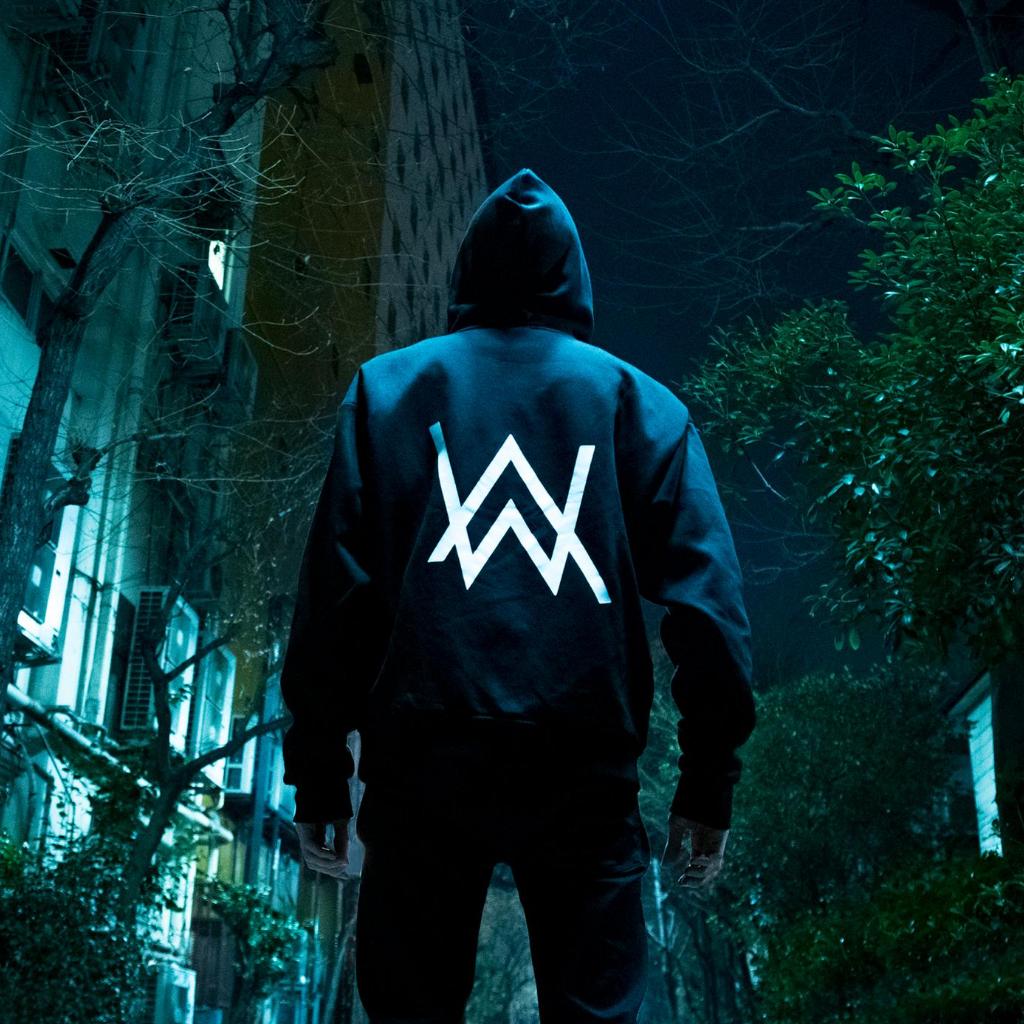 Alan Walker | 走进电音天才少年的音乐世界