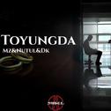 Toyungda专辑