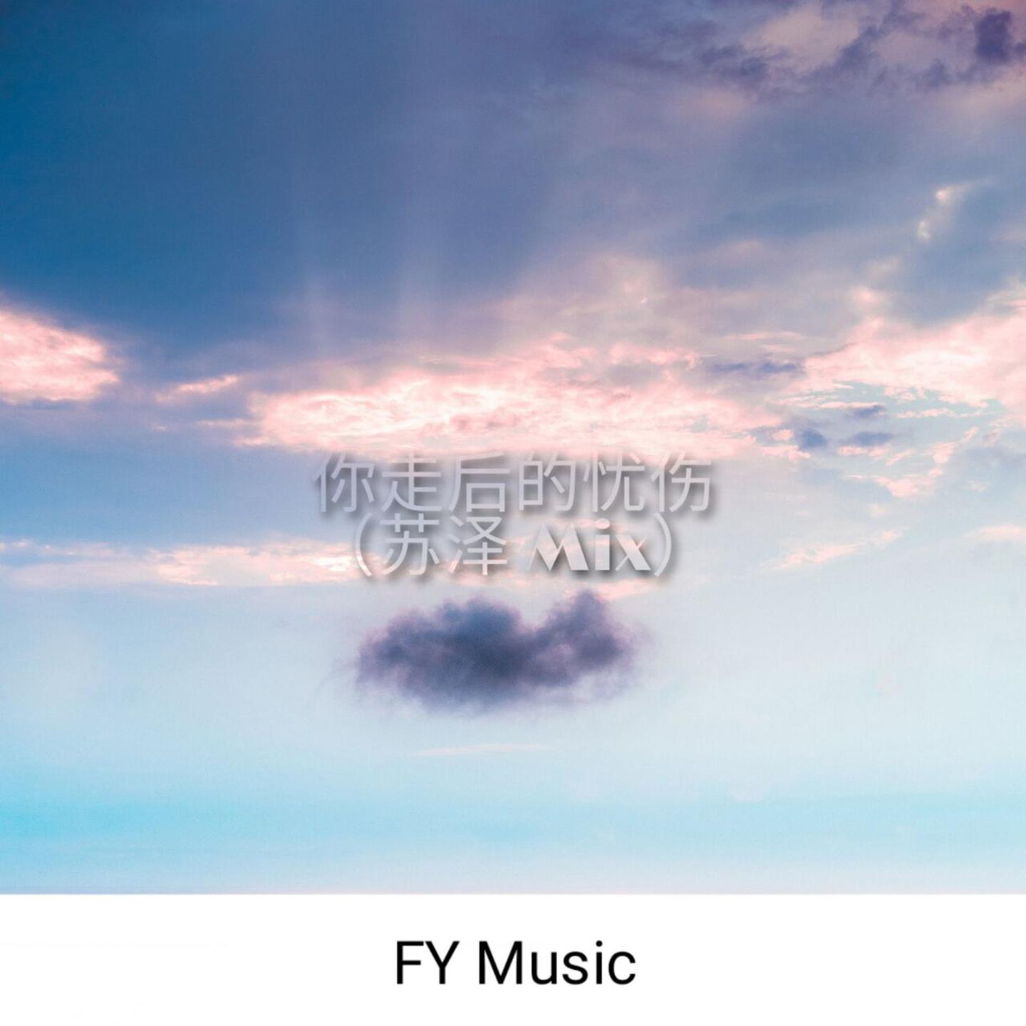 你走后的忧伤 (苏泽 Mix)